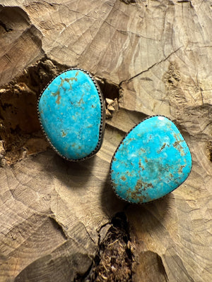 Morenci Clip Back Earrings