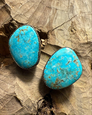 Morenci Clip Back Earrings