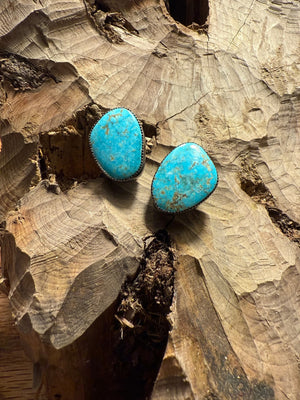 Morenci Clip Back Earrings
