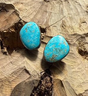 Morenci Clip Back Earrings