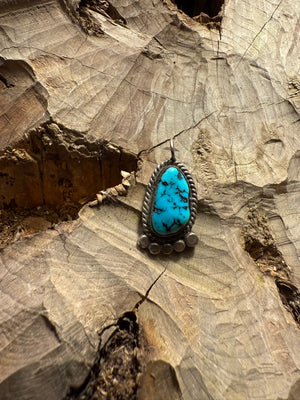 Morenci Turquoise Paw Pendant