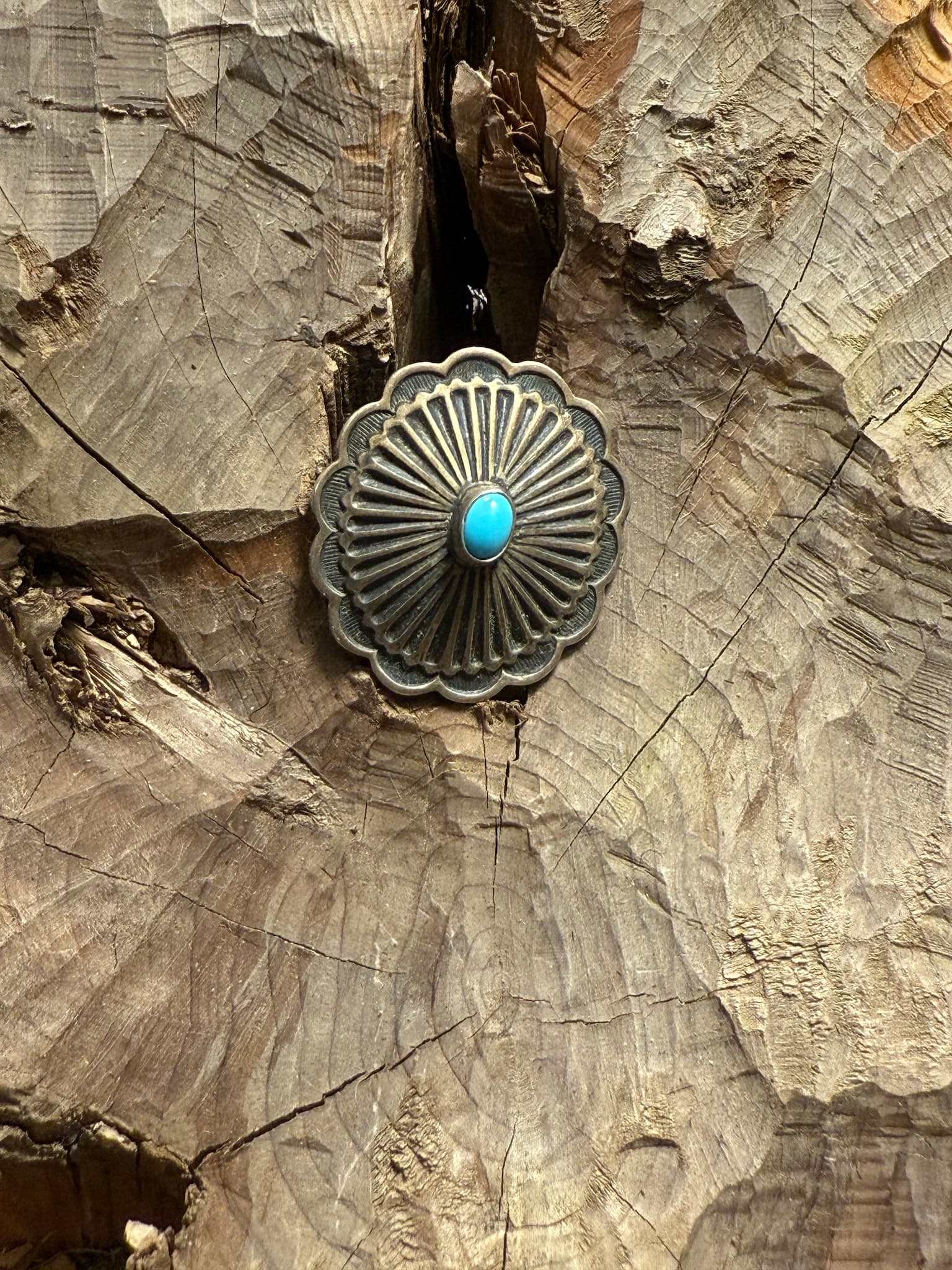 Sleeping Beauty Turquoise Concho Pin
