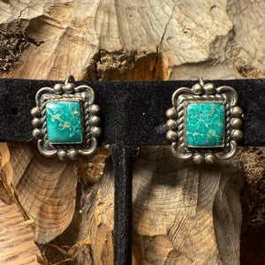 Chiclet Earrings