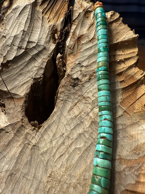 Green Turquoise Heishi Necklace