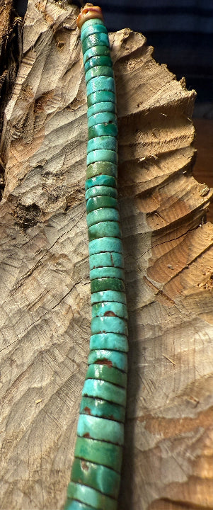 Heishi Turquoise Necklace