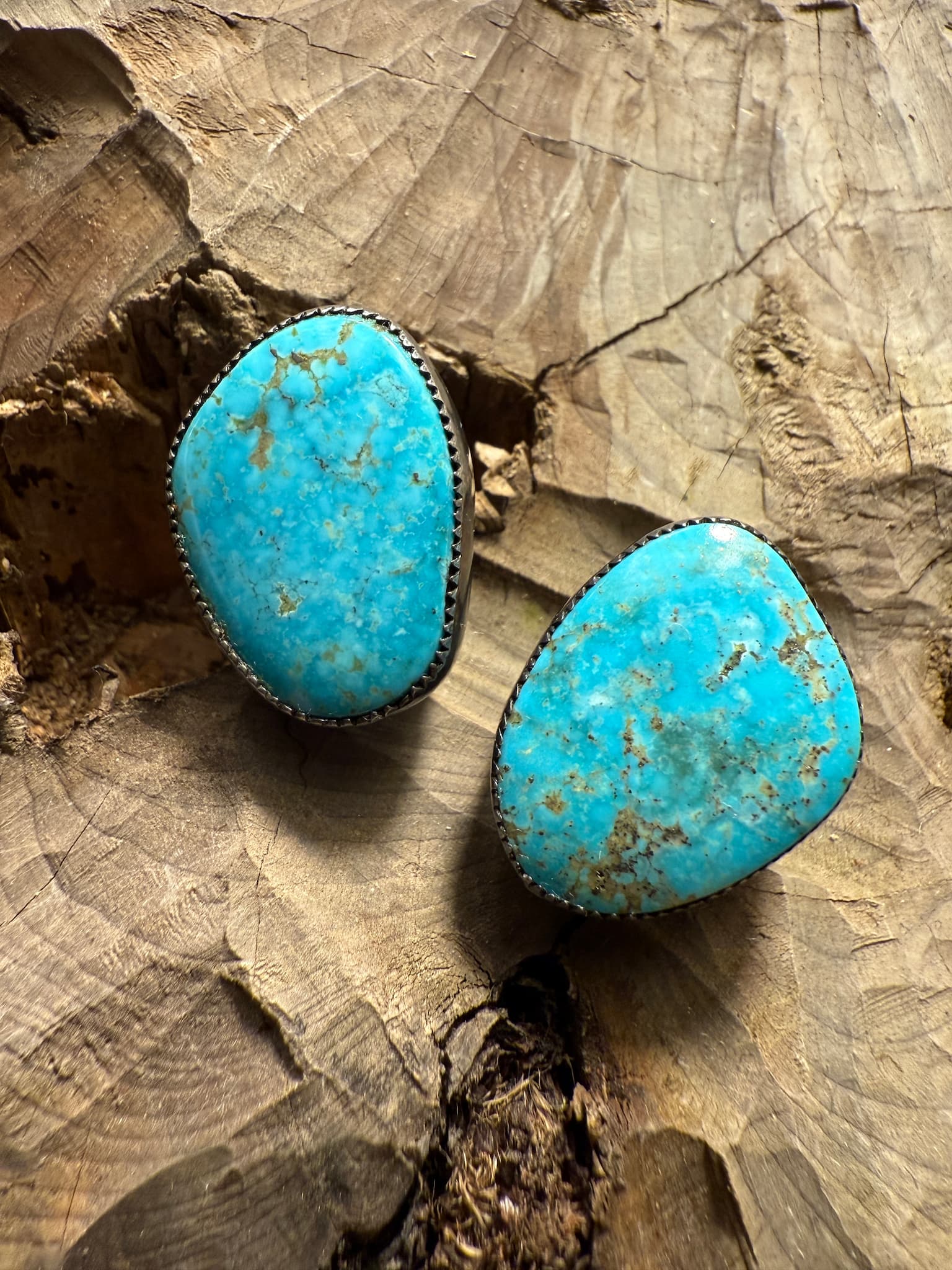 Morenci Clip Back Earrings