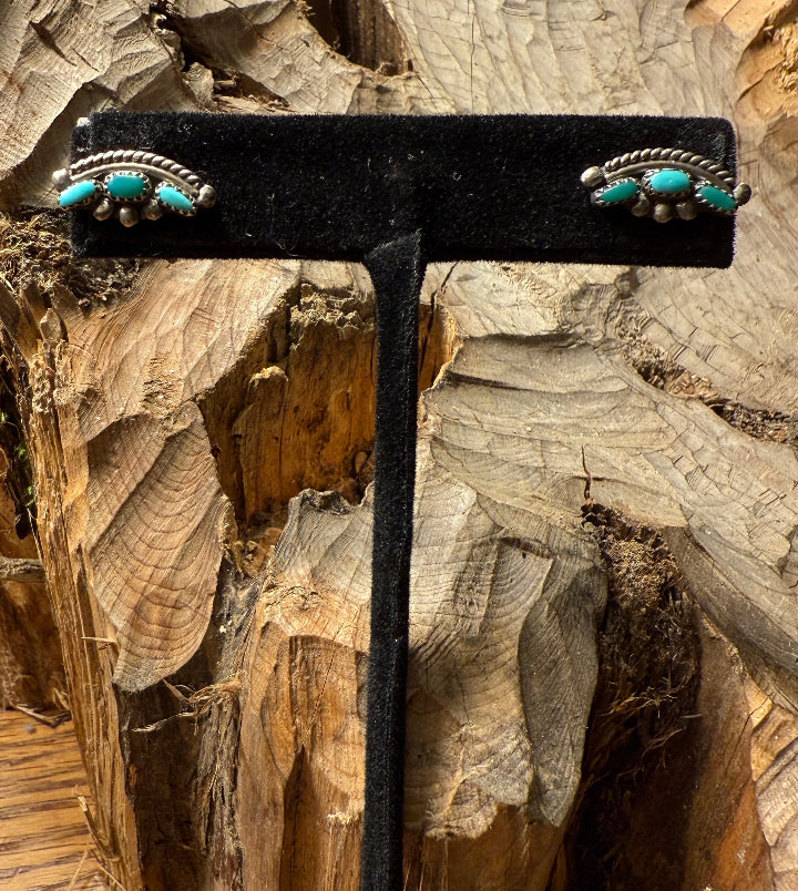 Petit Point Turquoise Earrings 