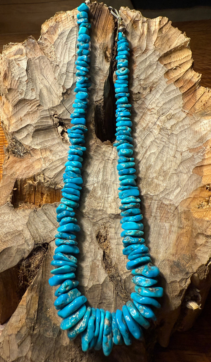 Polished Blue Gem Stone Necklace