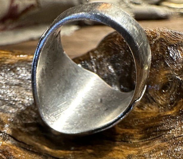 Robin's Egg Blue Ring