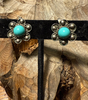 Robin's Egg Blue Earrings