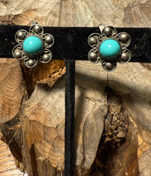 Robin's Egg Blue Earrings