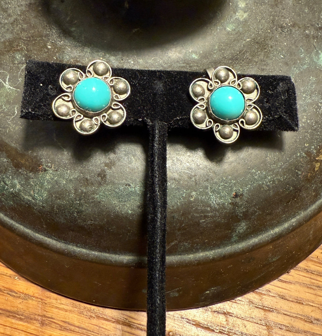 Robin's Egg Blue Earrings
