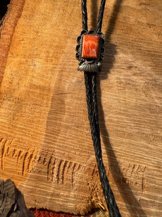 Spiney Oyster Bolo Tie