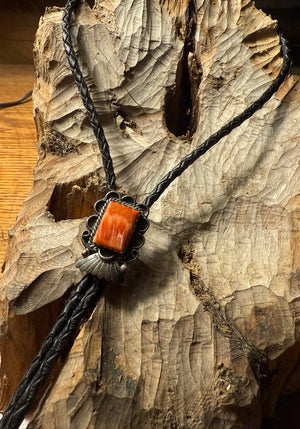 Spiny Oyster Bolo