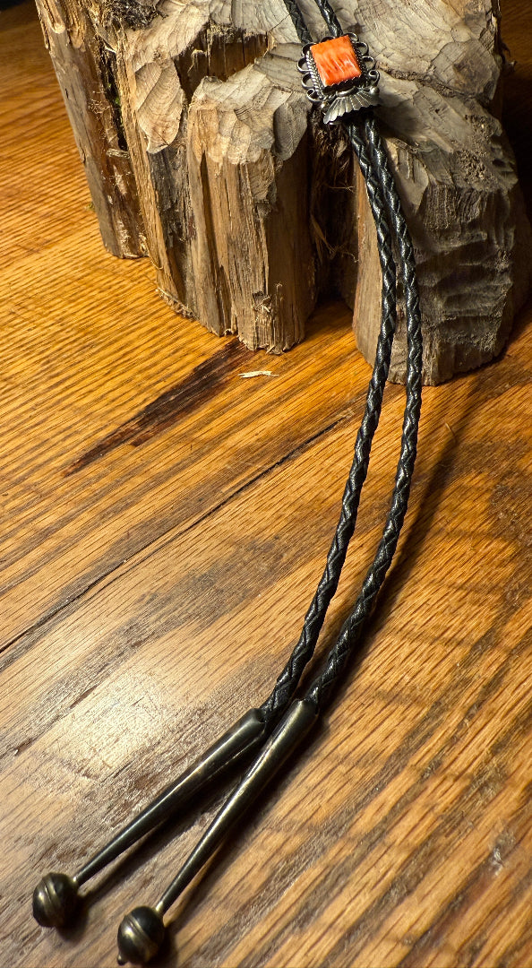 Spiny Oyster Bolo
