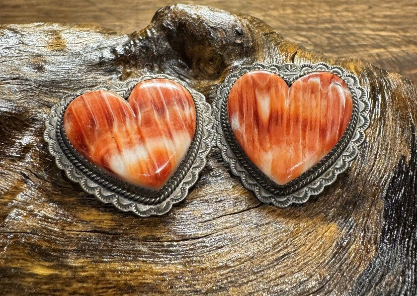 Spiny Oyster Earrings