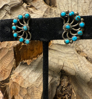 Zuni Snake Eye Earrings