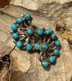 Zuni Snake Eye Earrings